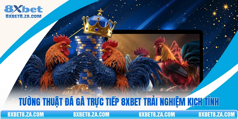 Tường Thuật Đá Gà Trực Tiếp 8Xbet Trải Nghiệm Kịch Tính